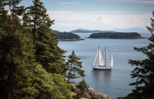 Top 10 Things To Do In The San Juan Islands | A Full Guide | Savored Journeys Top 10 Things To Do In The San Juan Islands, A Full Guide, Savored Journeys - Best Travel Facts