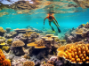 The Best Snorkeling Spots In Maui, Hawaii | Island Paradise The Best Snorkeling Spots In Maui, Hawaii Island Paradise